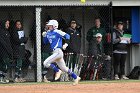 Softball vs Babson  Wheaton College Softball vs Babson College. - Photo by Keith Nordstrom : Wheaton, Softball, Babson, NEWMAC